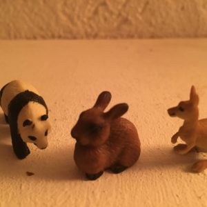 , Samstag 10. Dezember 2016 Sans Claire im Trio mit Jones, im Café Parterre in Bern
um 21 Uhr